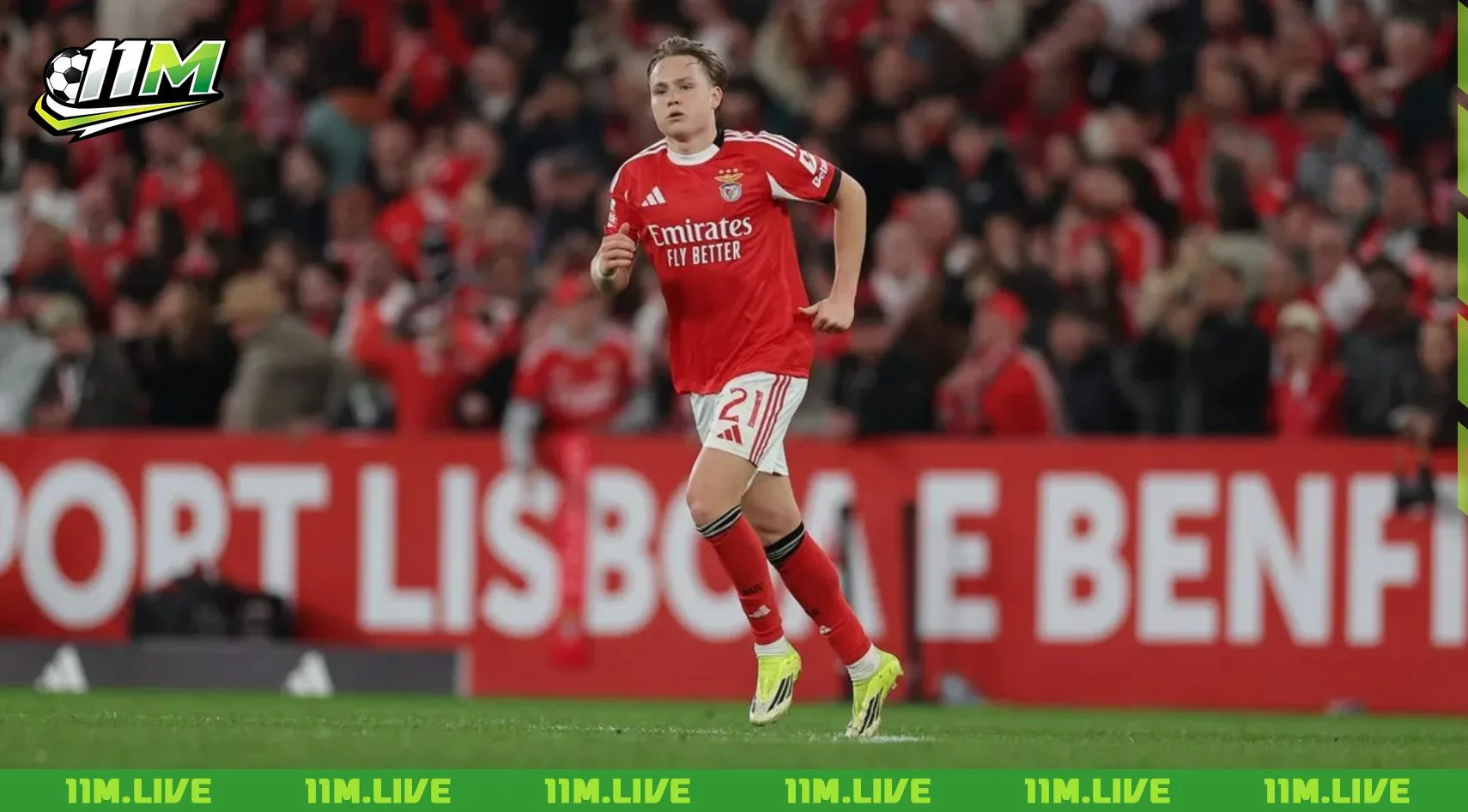andreas schjelderup