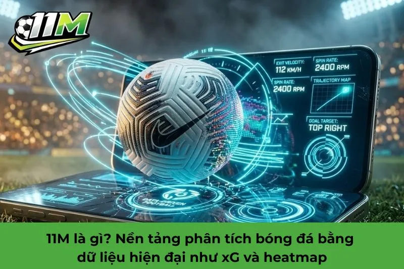 11M là gì