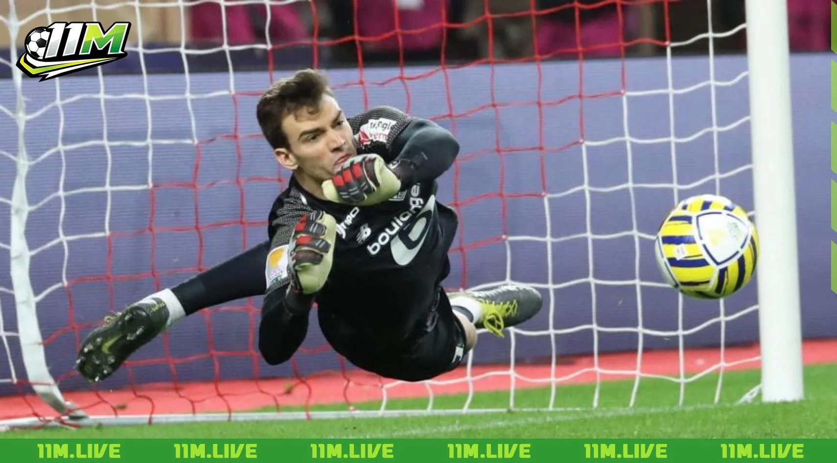 leo jardim