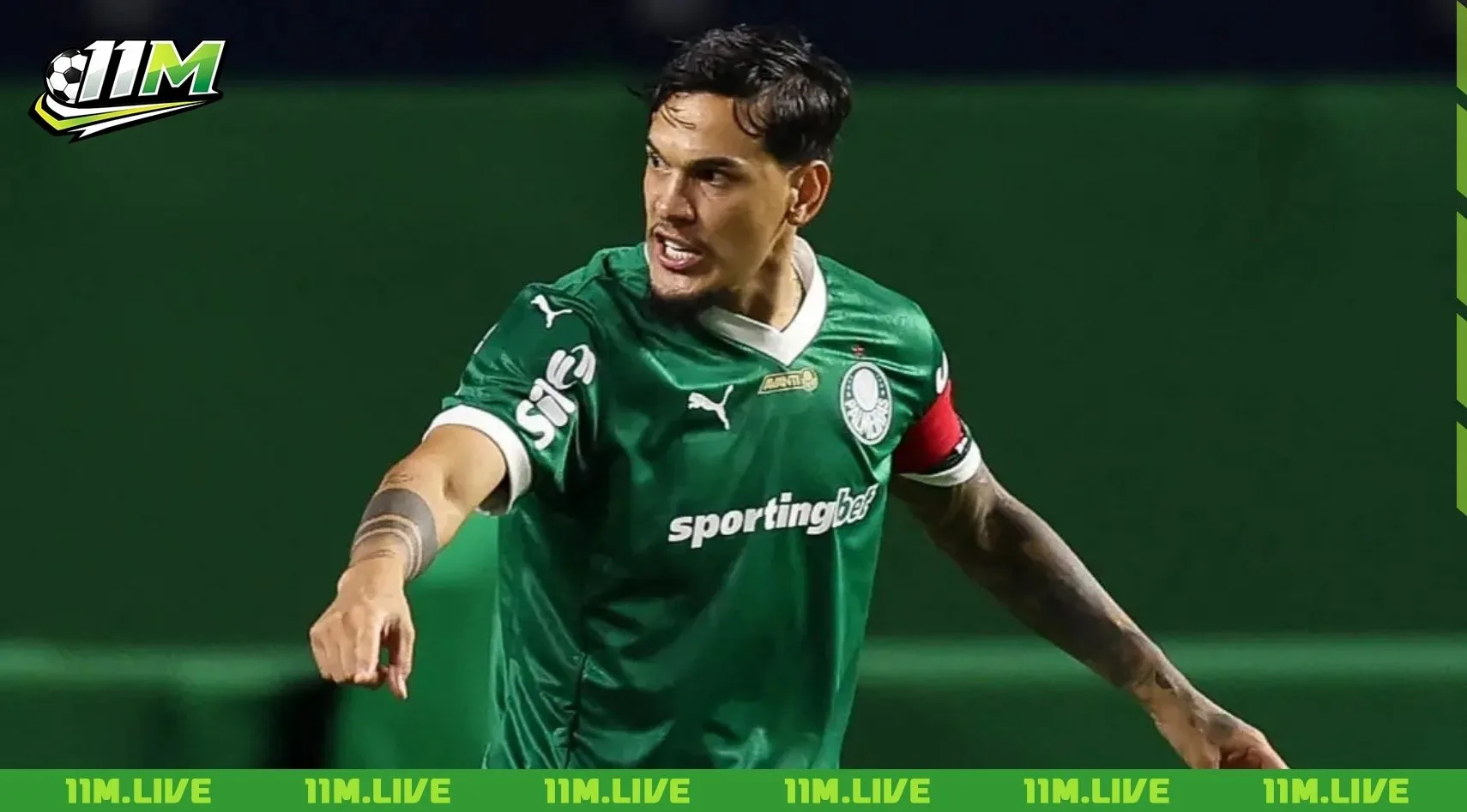 gustavo gomez