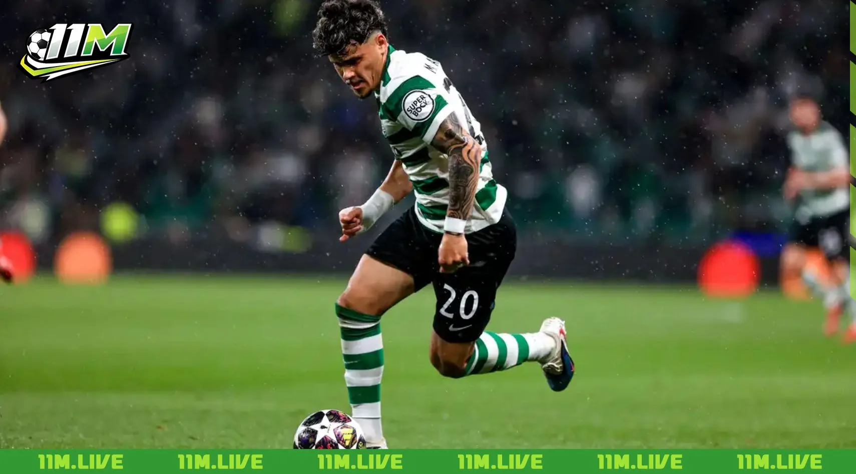 maximiliano araújo