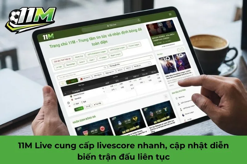 11M live là gì