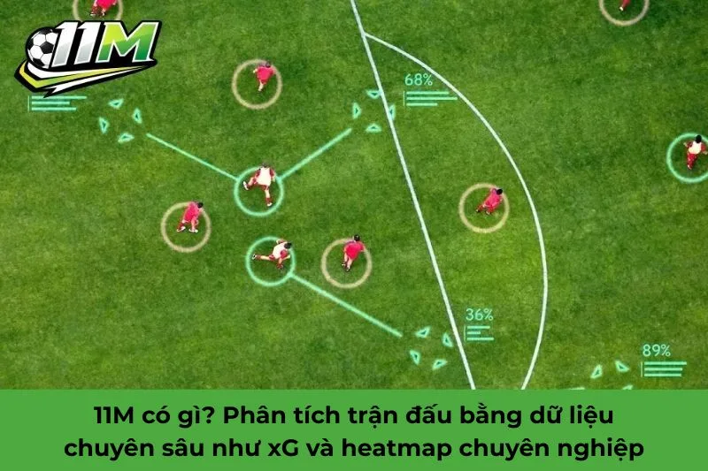 11M có gì