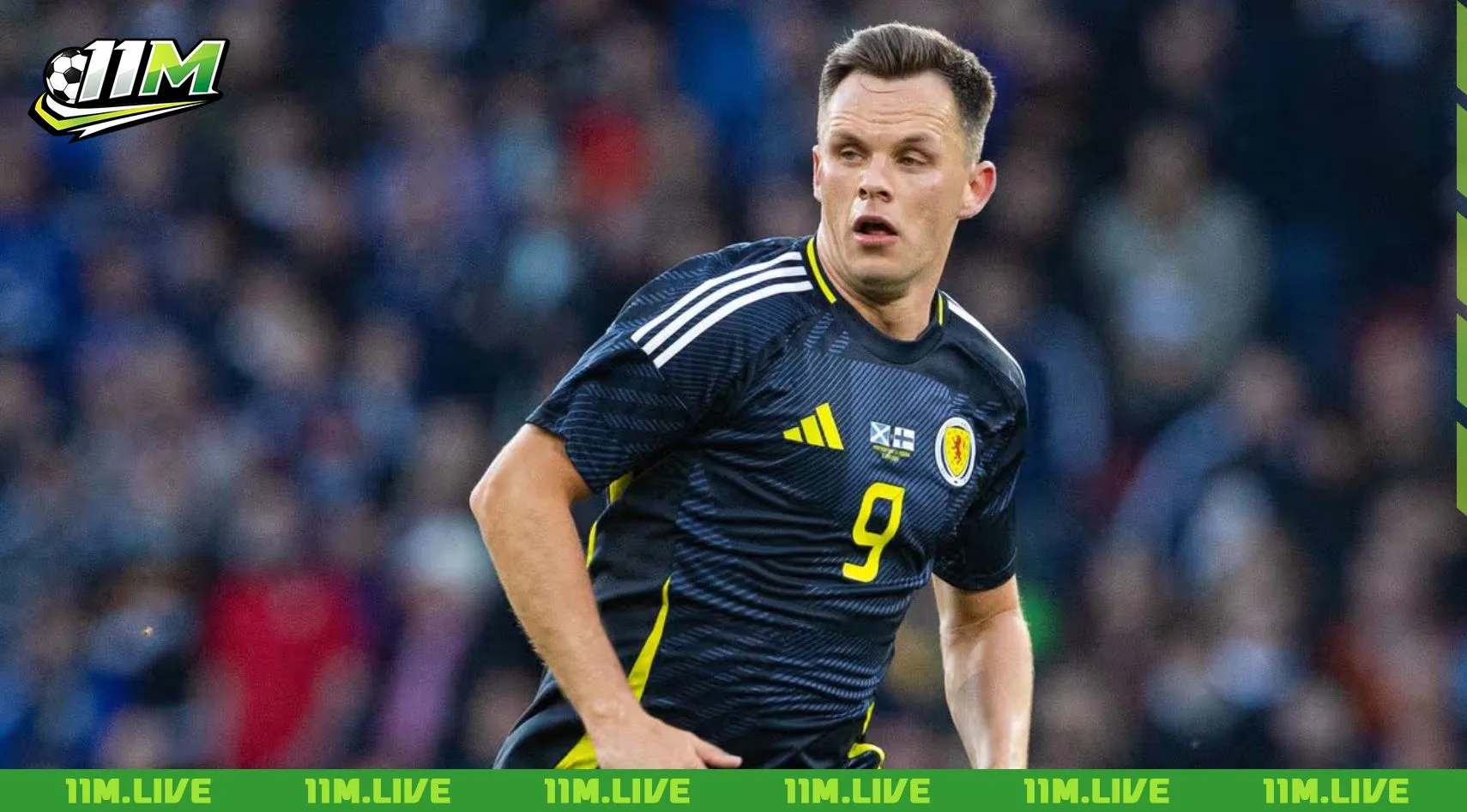 lawrence shankland