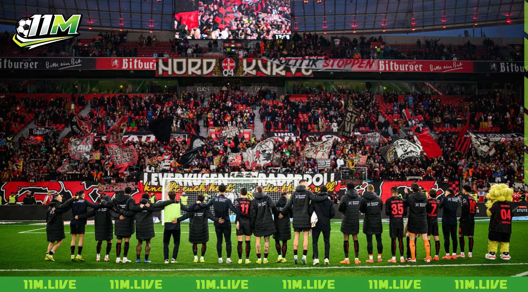 bayarena