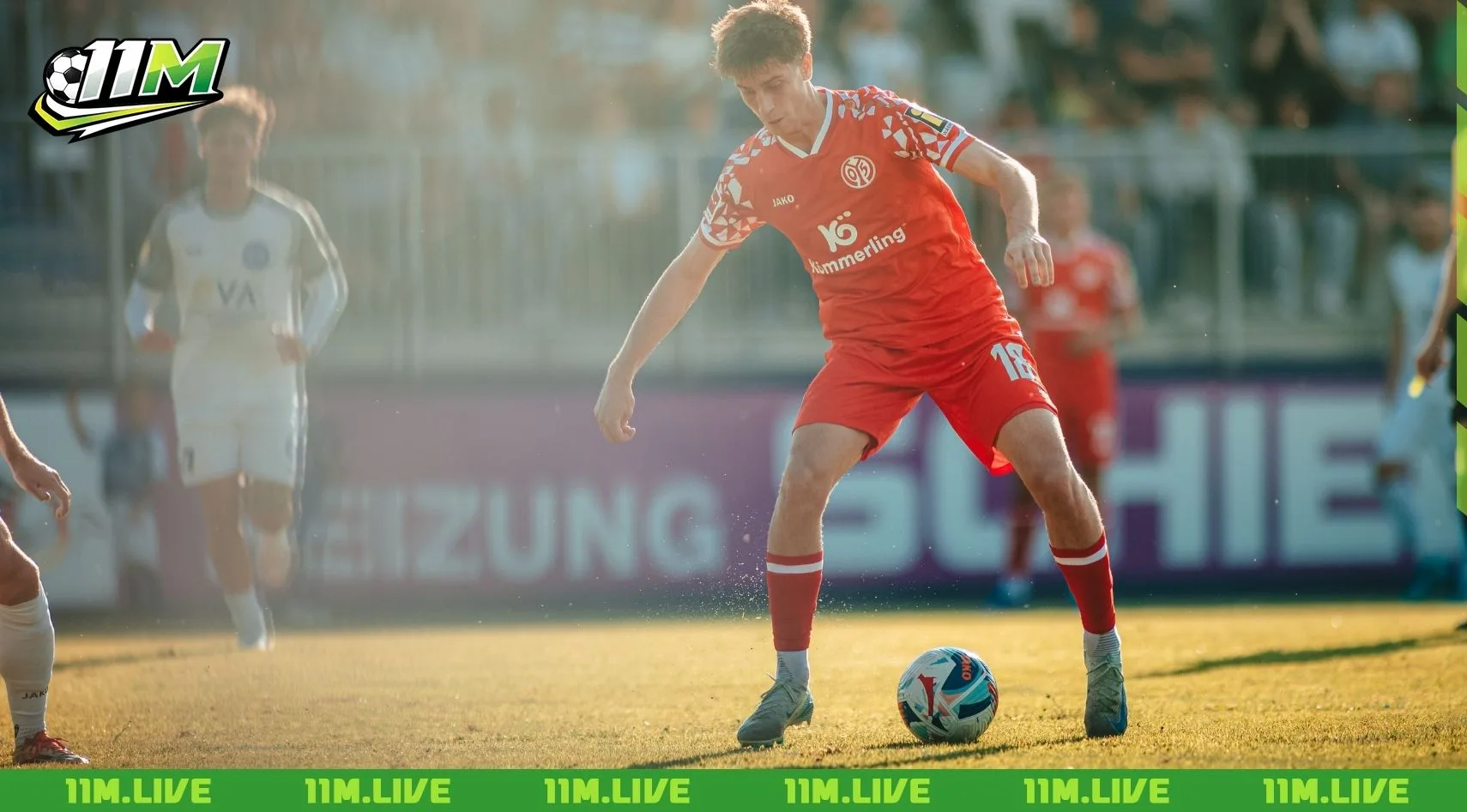 kasey bos