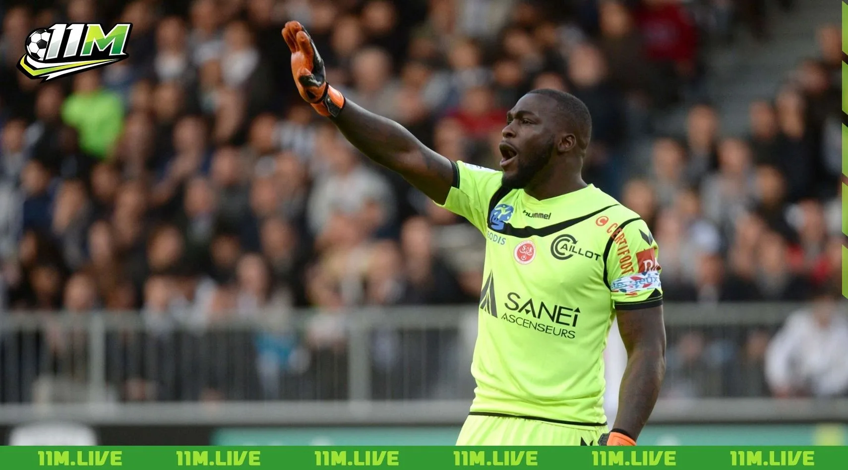 johny placide
