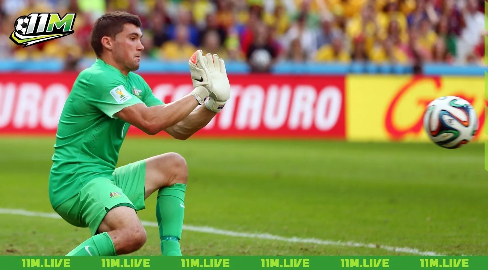 mathew ryan