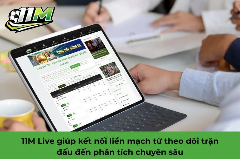 11M live là gì