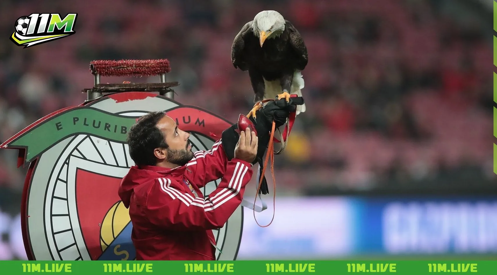 estadio da luz