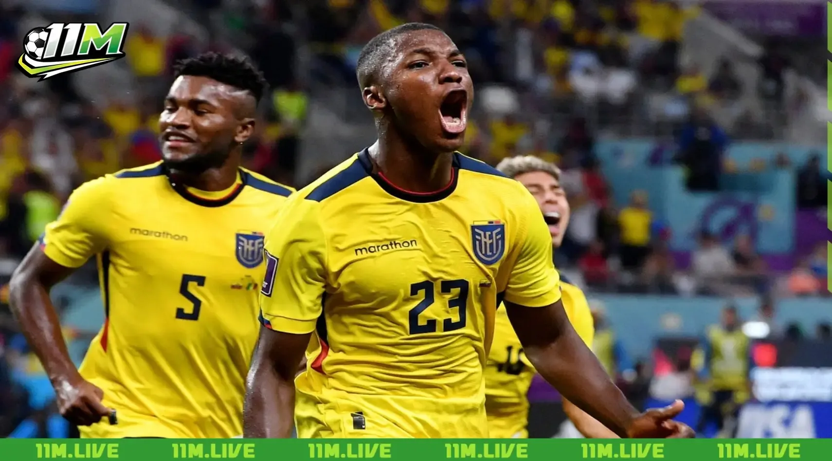 đội tuyển bóng đá quốc gia ecuador