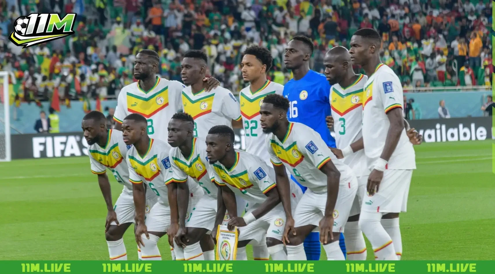 đội tuyển bóng đá quốc gia sénégal