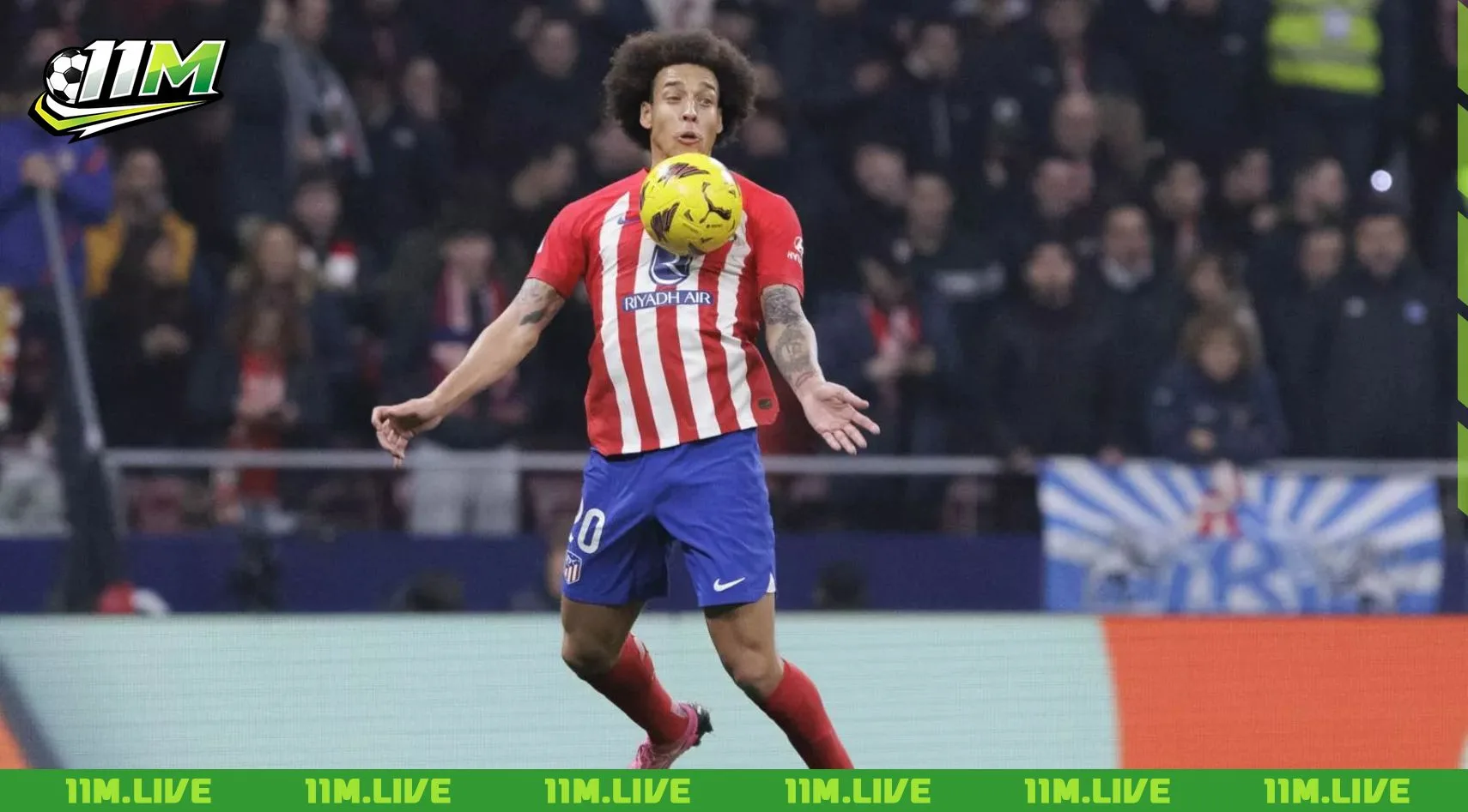 axel witsel