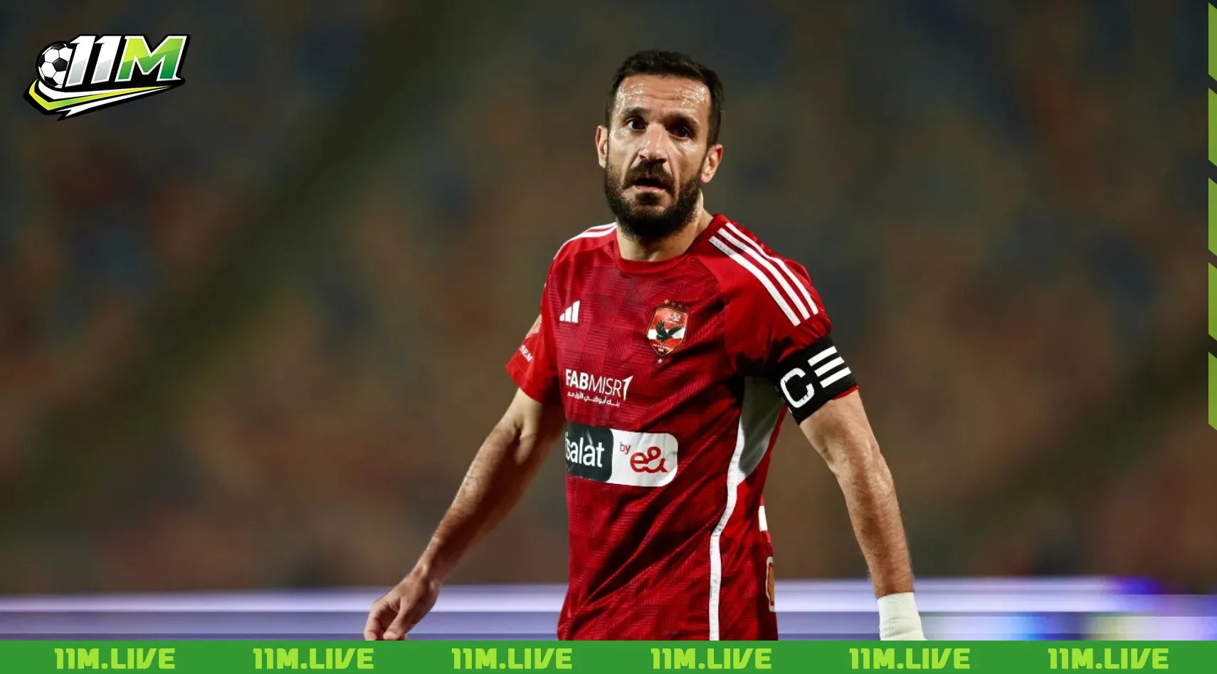 ali maaloul