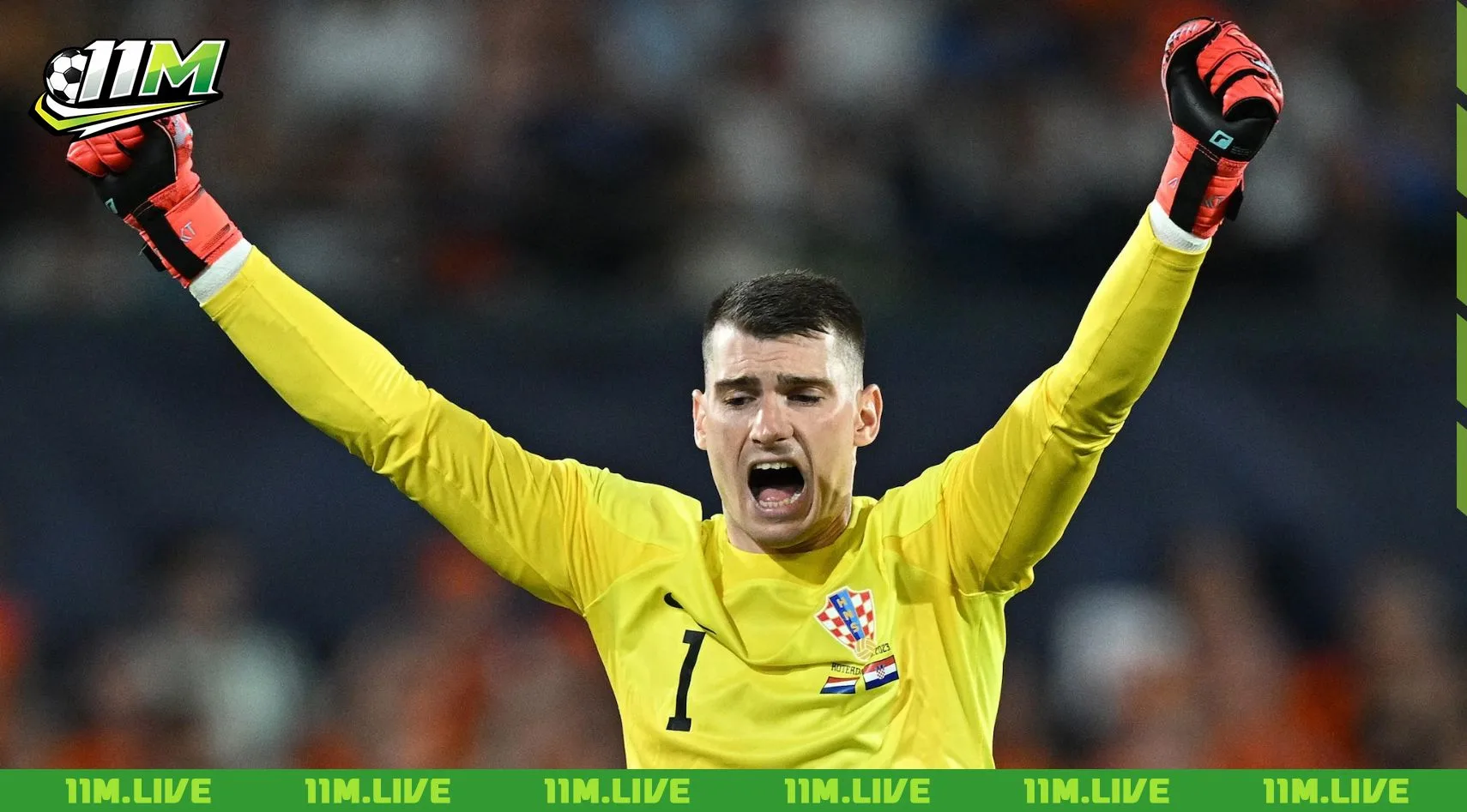 dominik livakovic