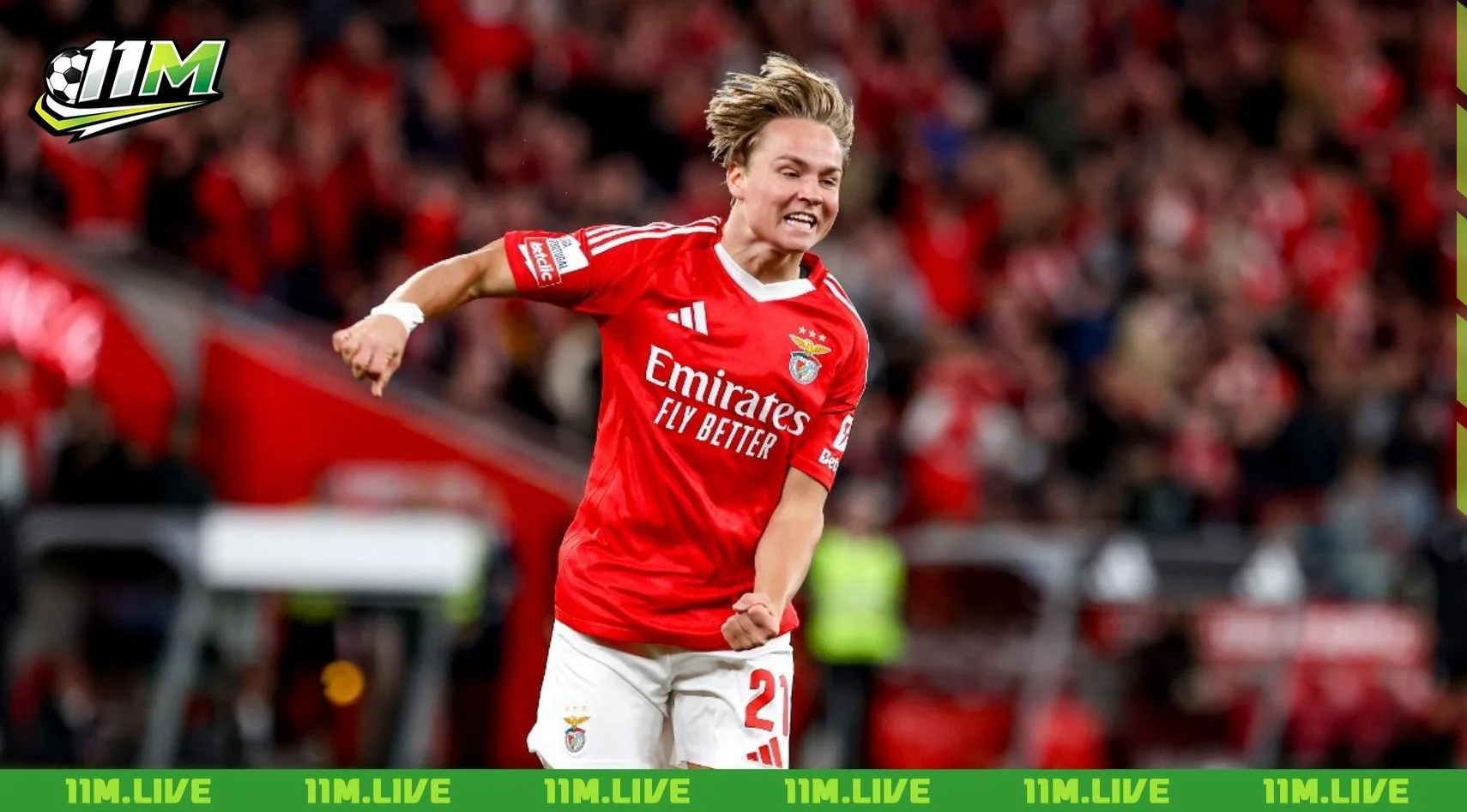 andreas schjelderup
