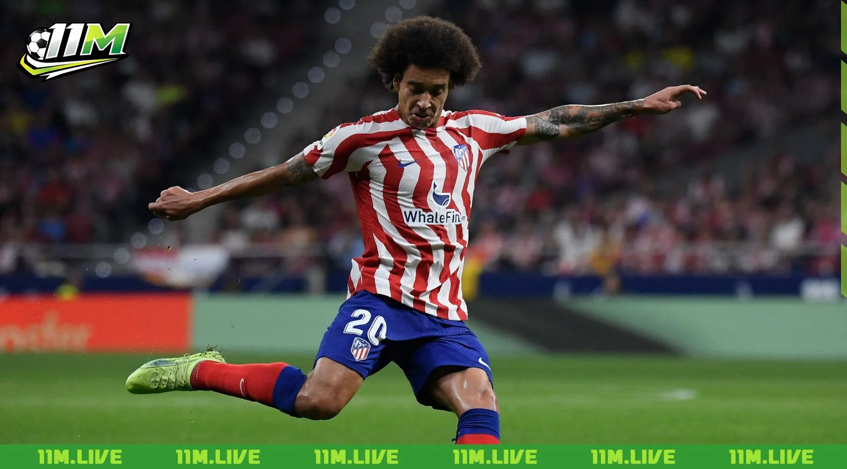 axel witsel