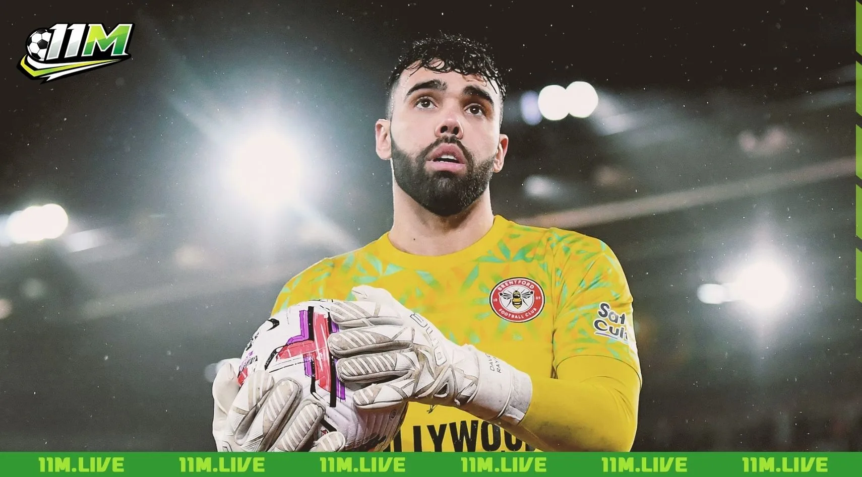david raya