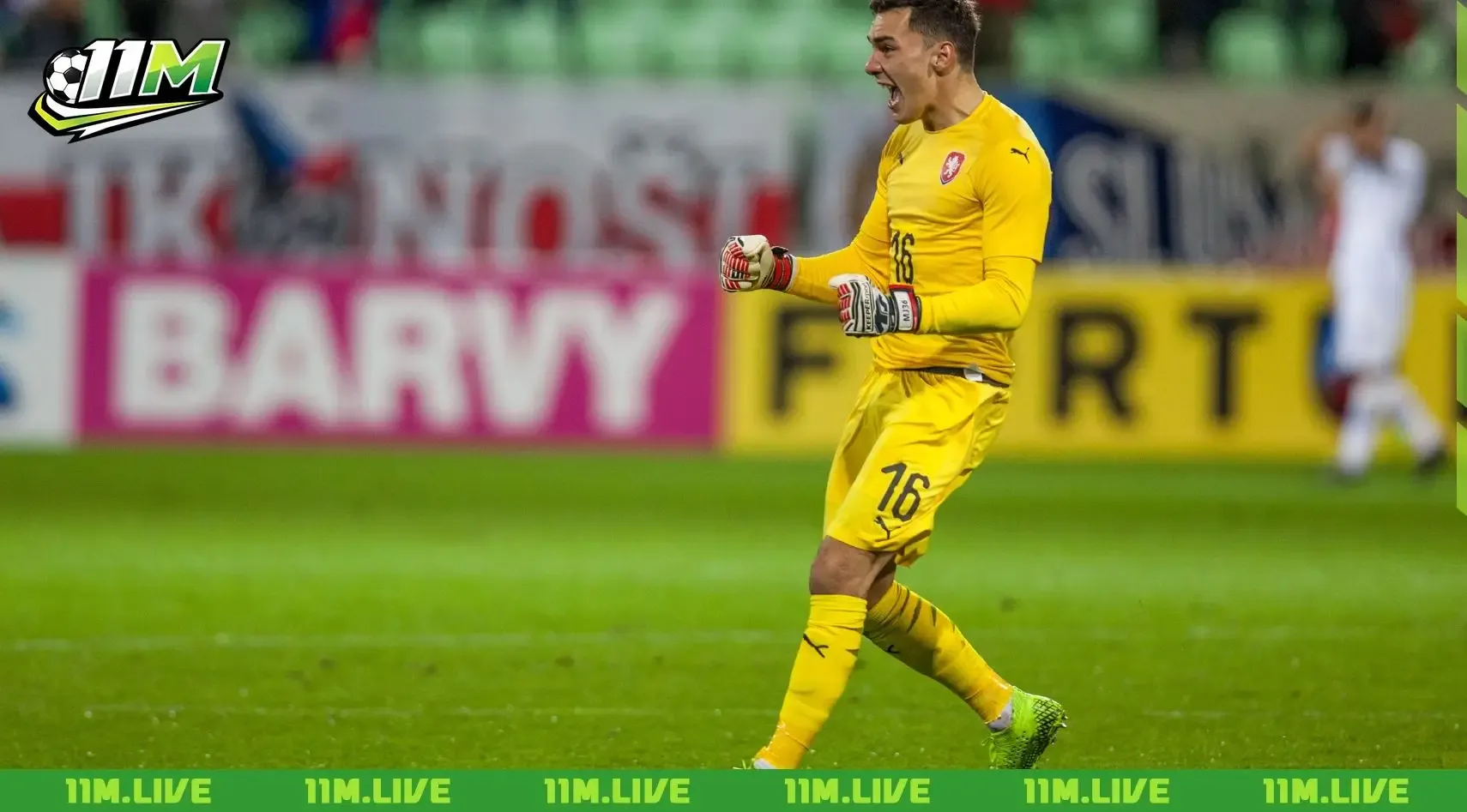 Martin Jedlicka